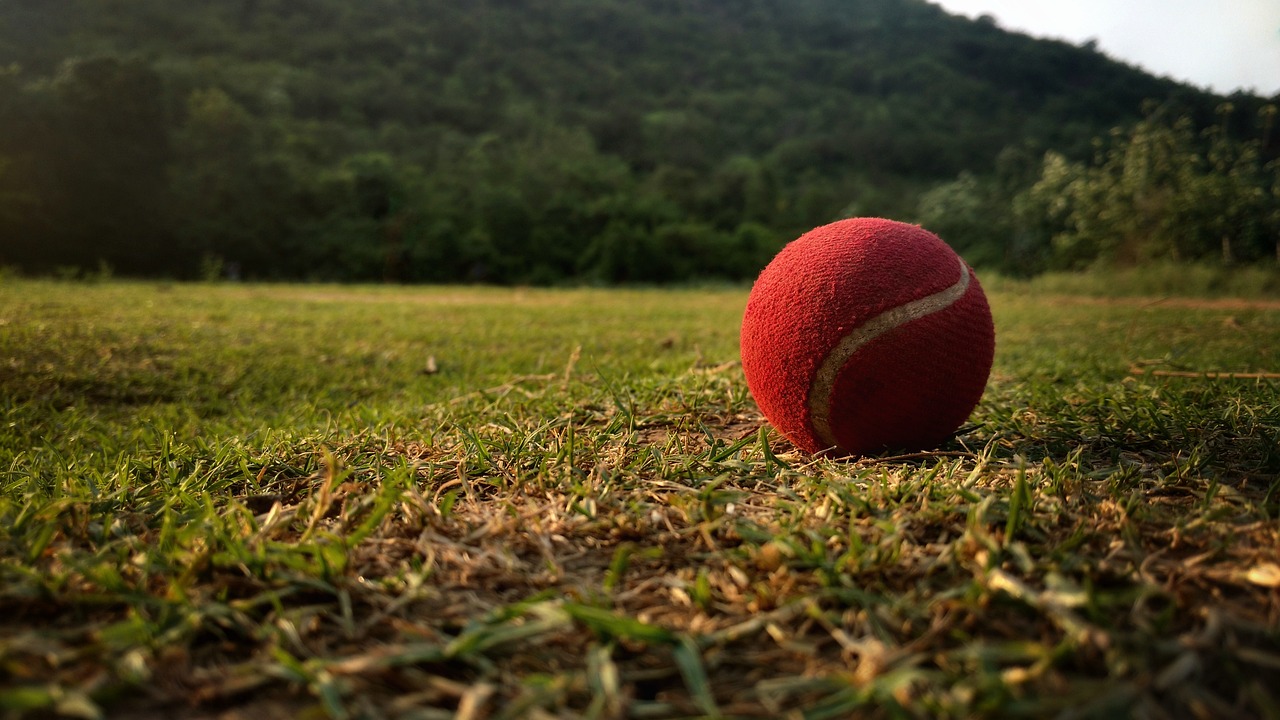 Haryana Tennis Ball Cricket Championship